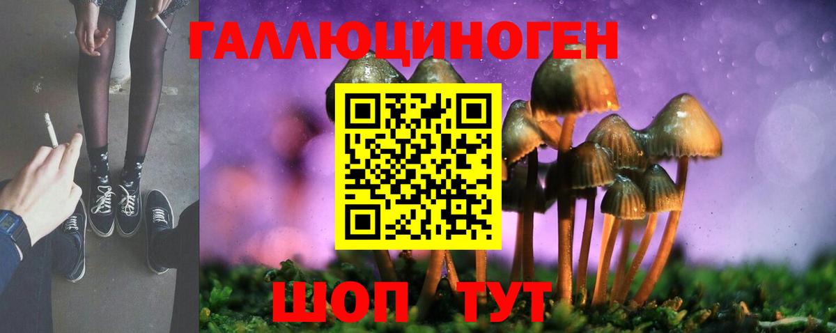 Псилоцибиновые грибы ЛСД  где можно купить наркотик  Сокол  Вход с VPN 